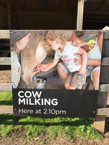 Cow Milking Sign (Photo by Tom O'Dea)