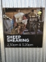 Sheep Shearing Sign (Photo by Tom O'Dea)