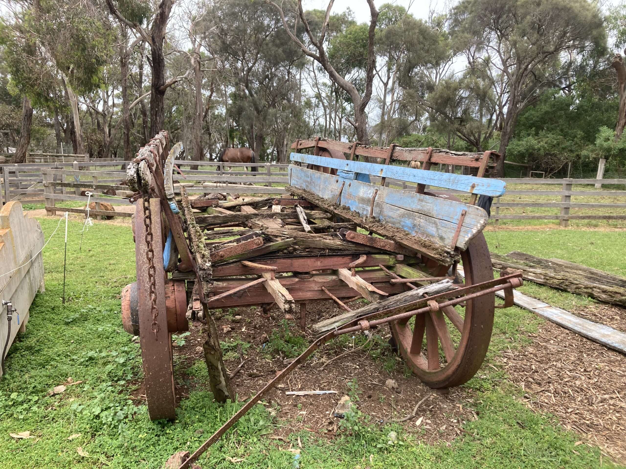 Photos - Blue Wagon Restoration Project